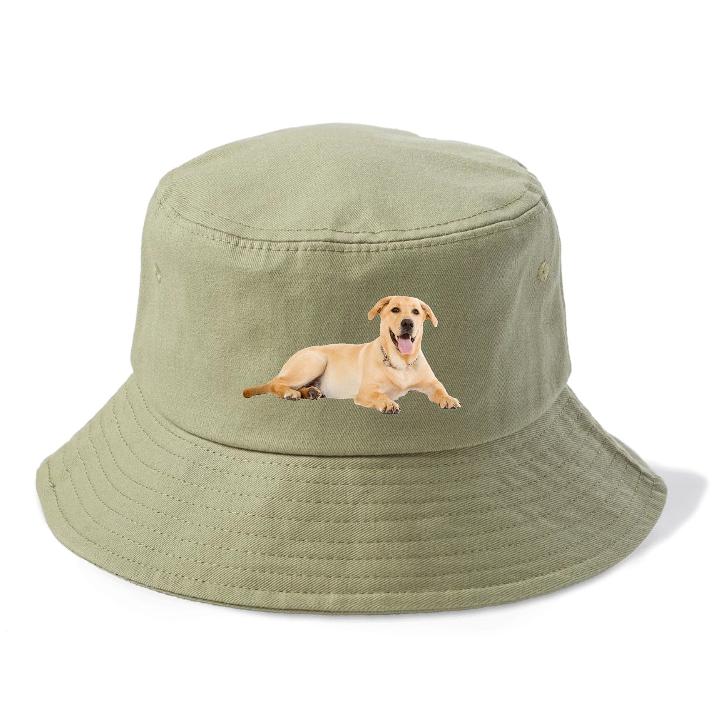 Labrador laying down Hat