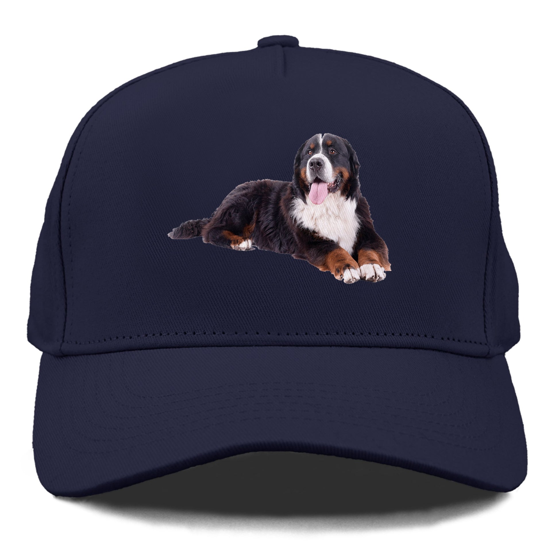 bernese mountain dog Hat