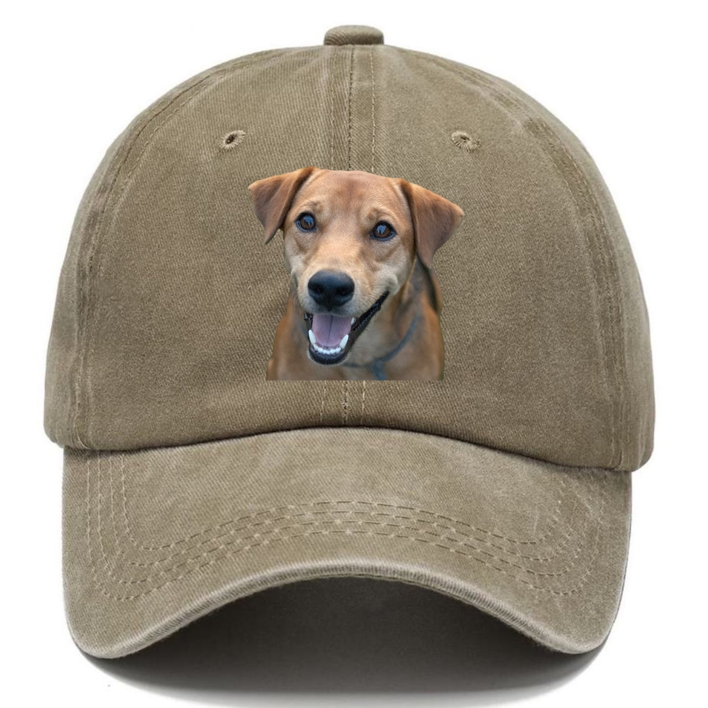 Labrador Hat