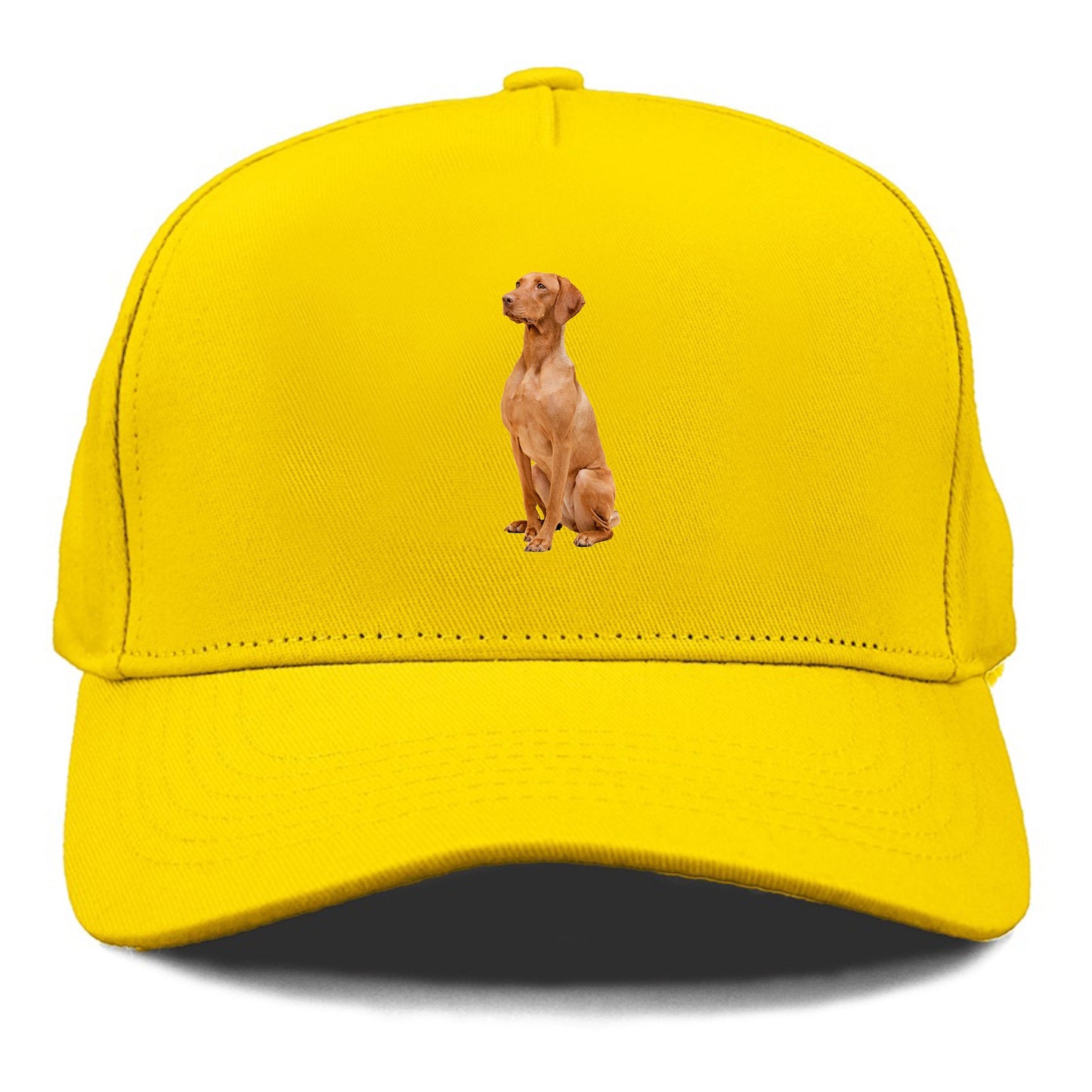 vizsla Hat