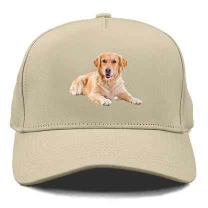 Golden Retriever laying dow Hat