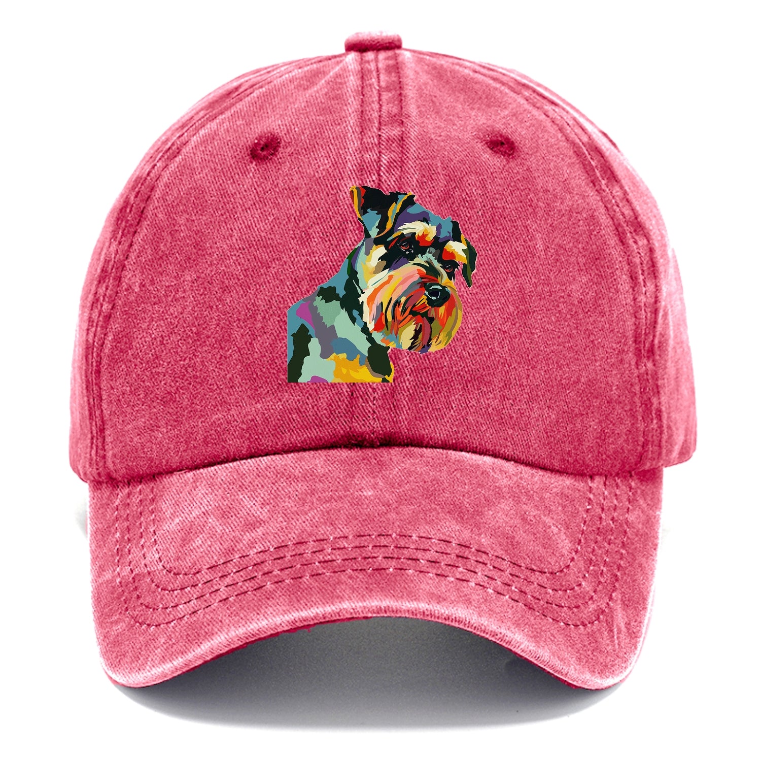 Colorful Canine Charm Hat