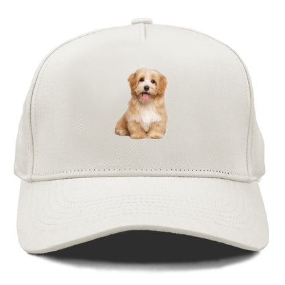 Adorable Shih Tzu Hat