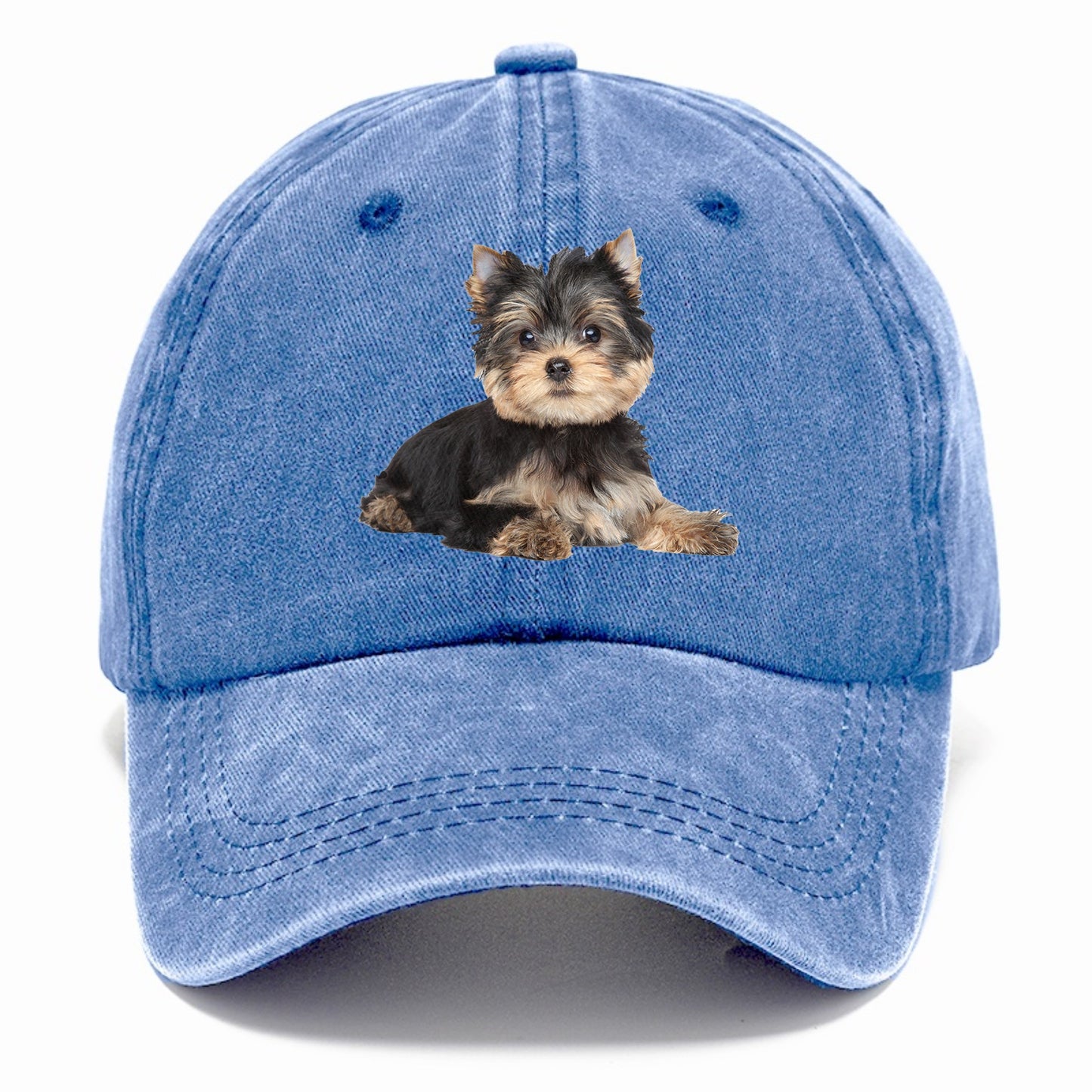 Yorkshire terrier Hat