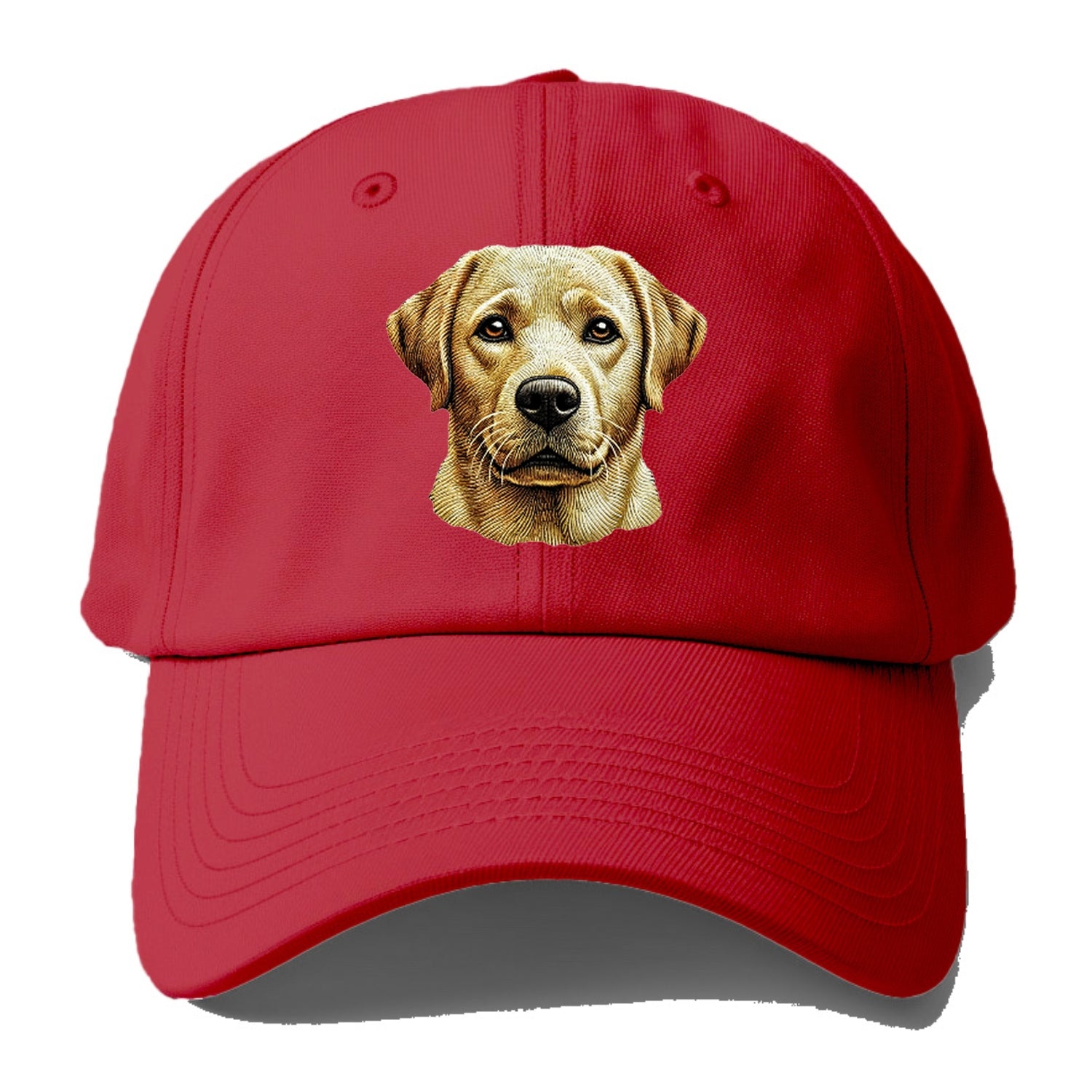 Labrador Retriever_ Hat