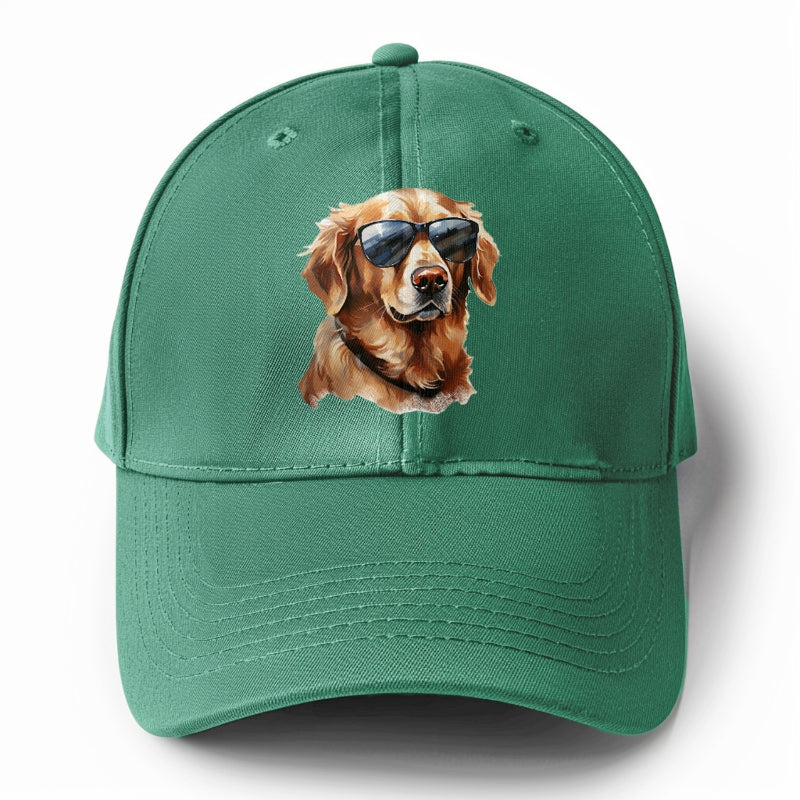 golden retriever in sun glasses Hat