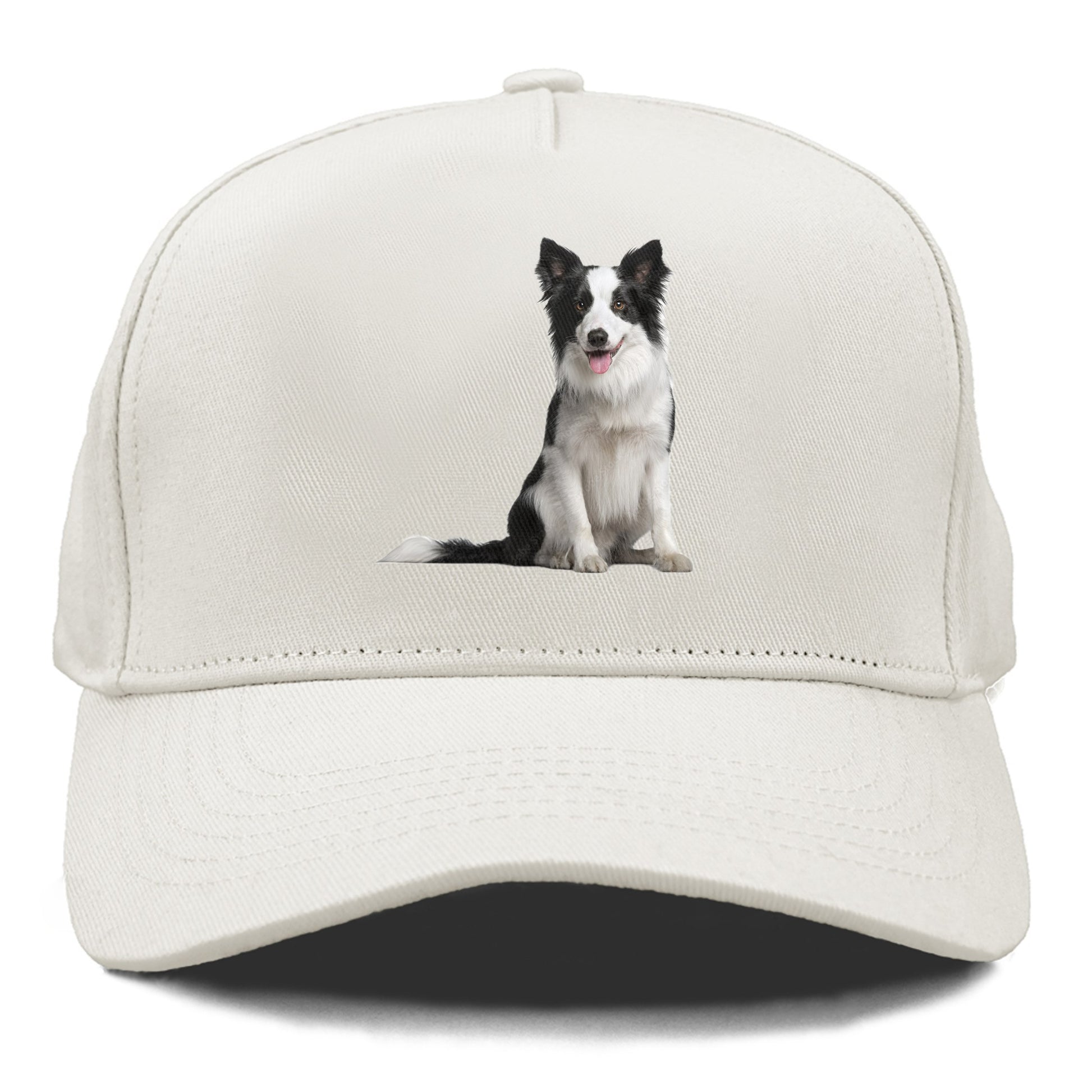 Border Collie Hat