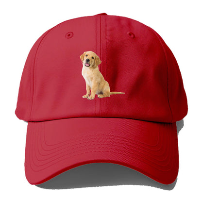 Playful golden pup with a cheerful expression Hat