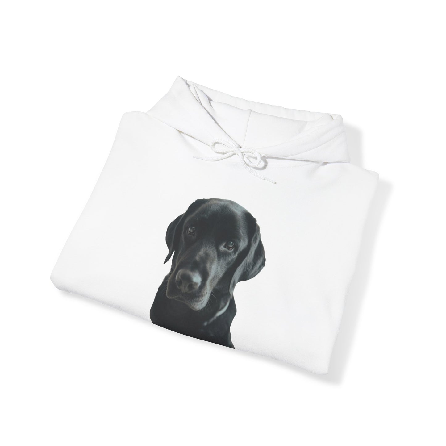 Black Labradors Hooded Sweatshirt