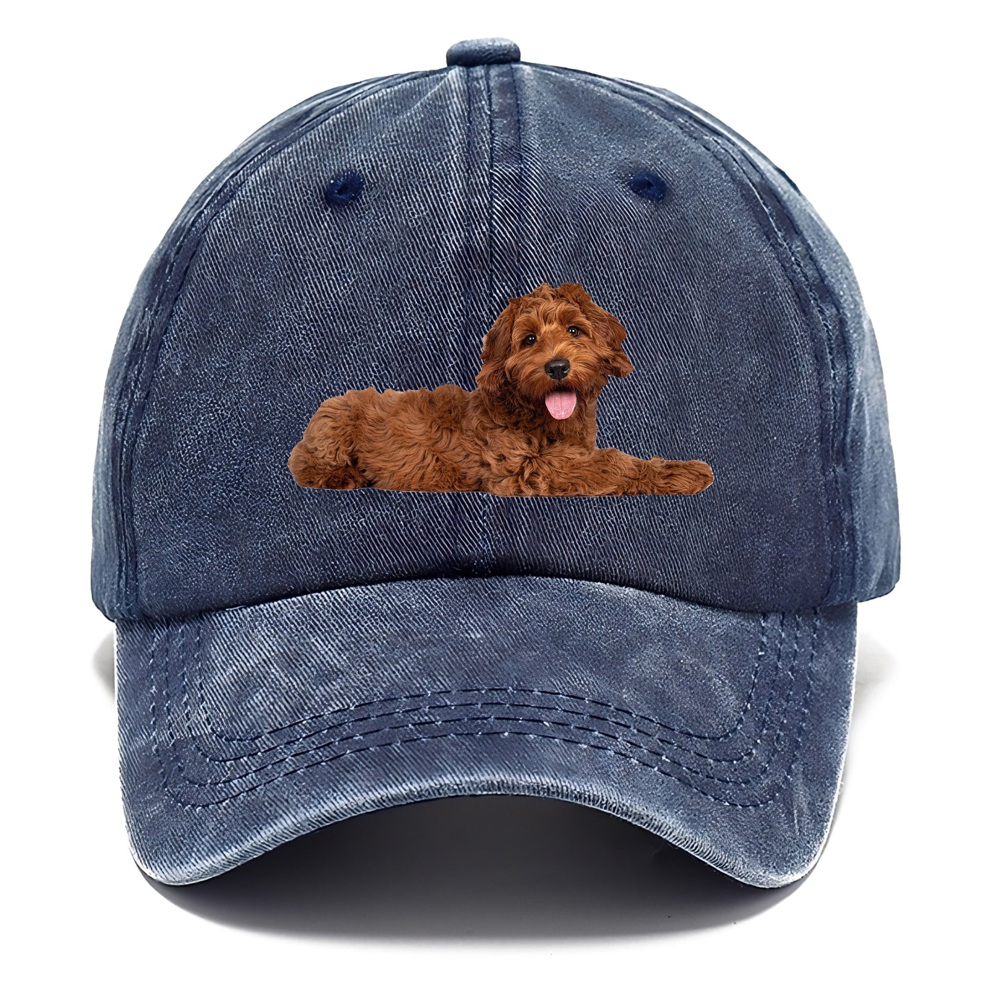 Labradoodle laying down Hat