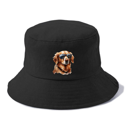 golden retriever in sun glasses Hat