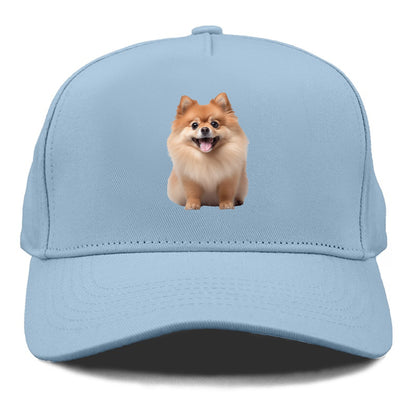 Delighted Pomeranian  Hat