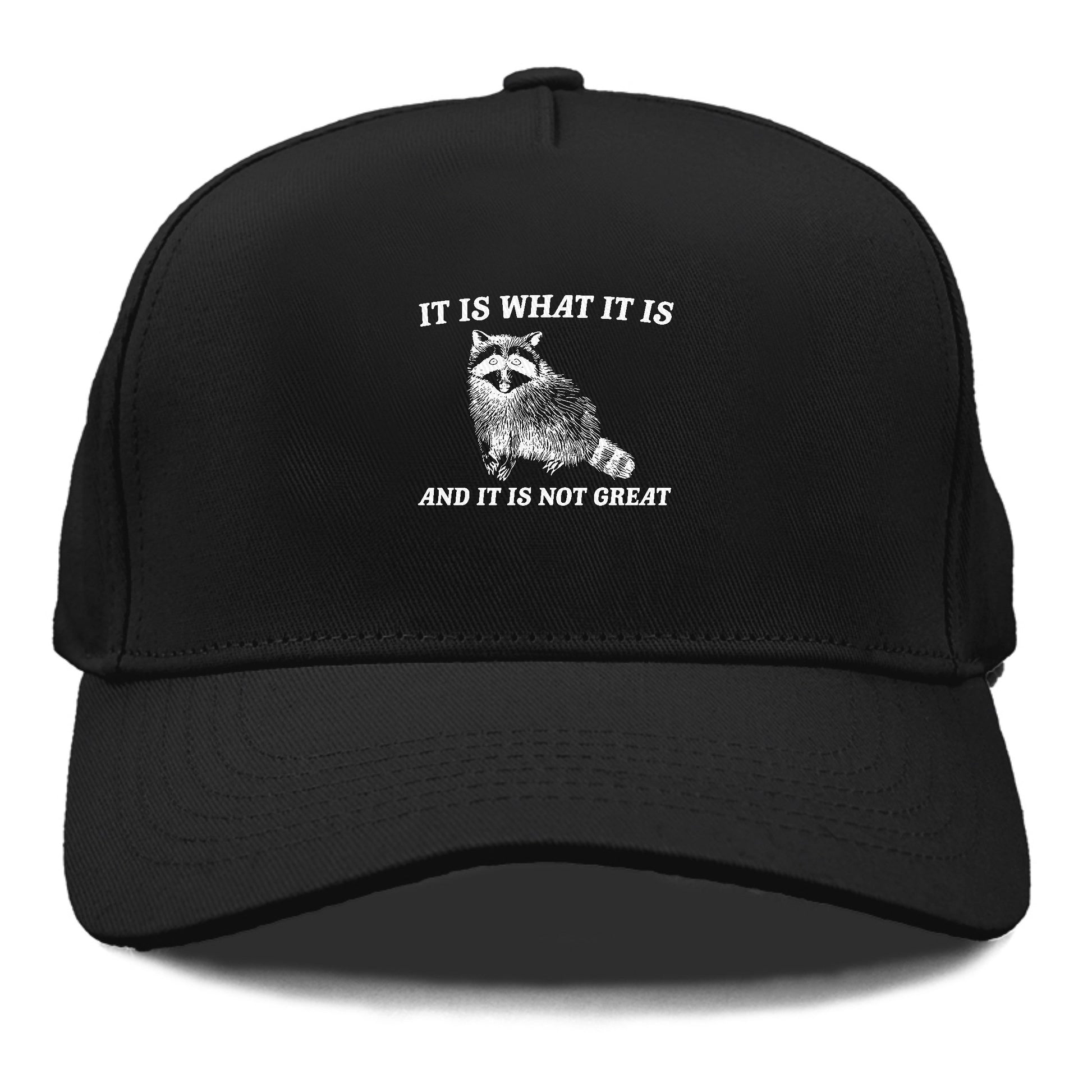 it is what it is Hat