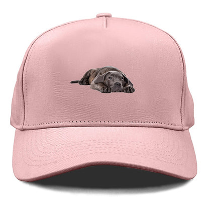 cane corso Hat