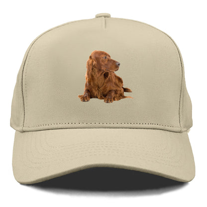 Irish Setter Hat