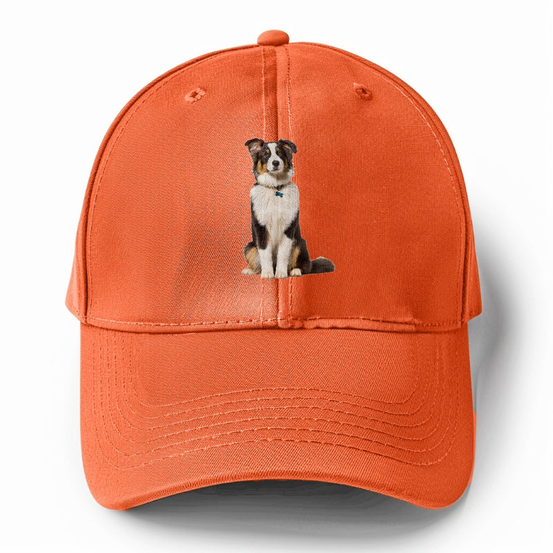 Attentive Australian Shepherd sitting upright Hat