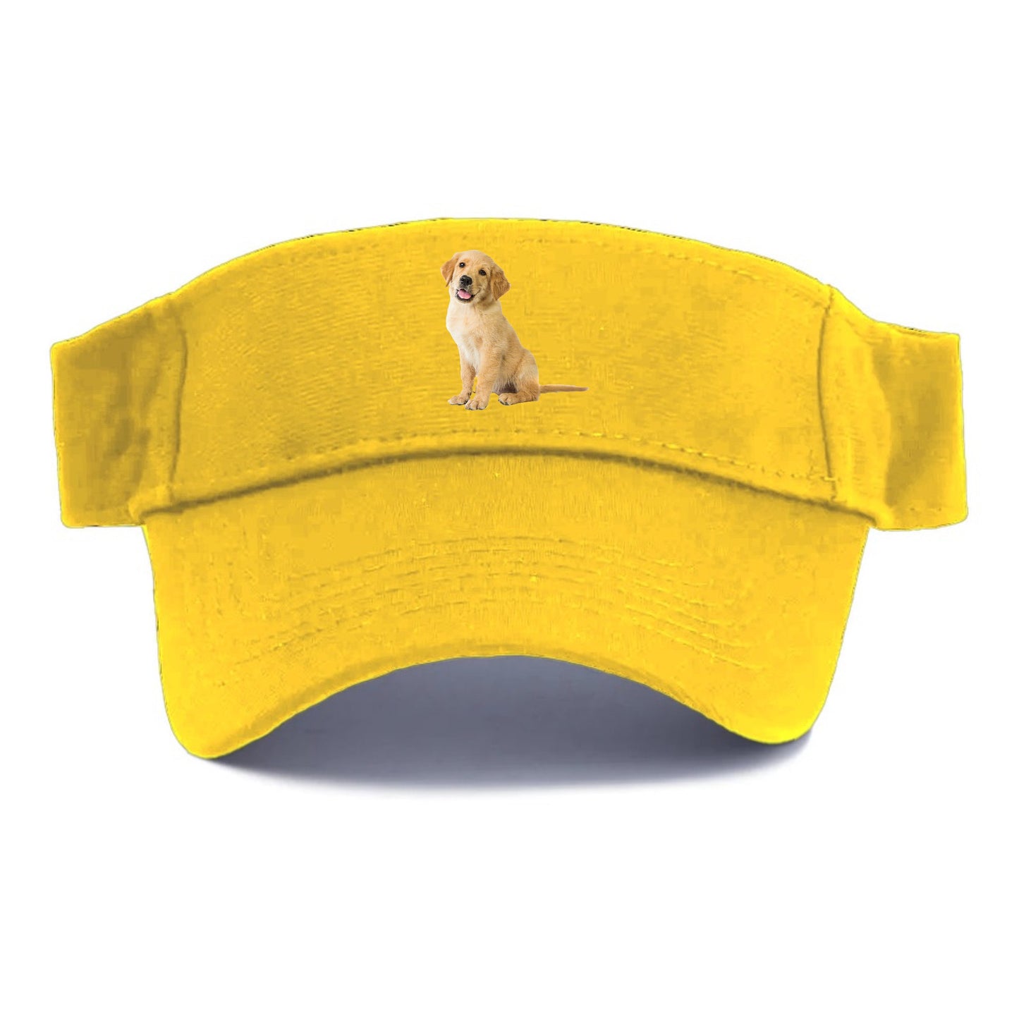 Playful golden pup with a cheerful expression Hat