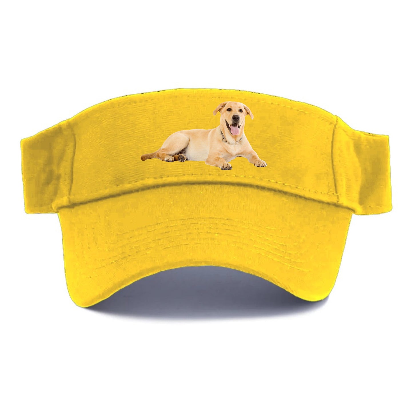 Labrador laying down Hat