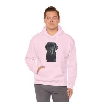 Black Labradors Hooded Sweatshirt