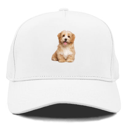 Adorable Shih Tzu Hat