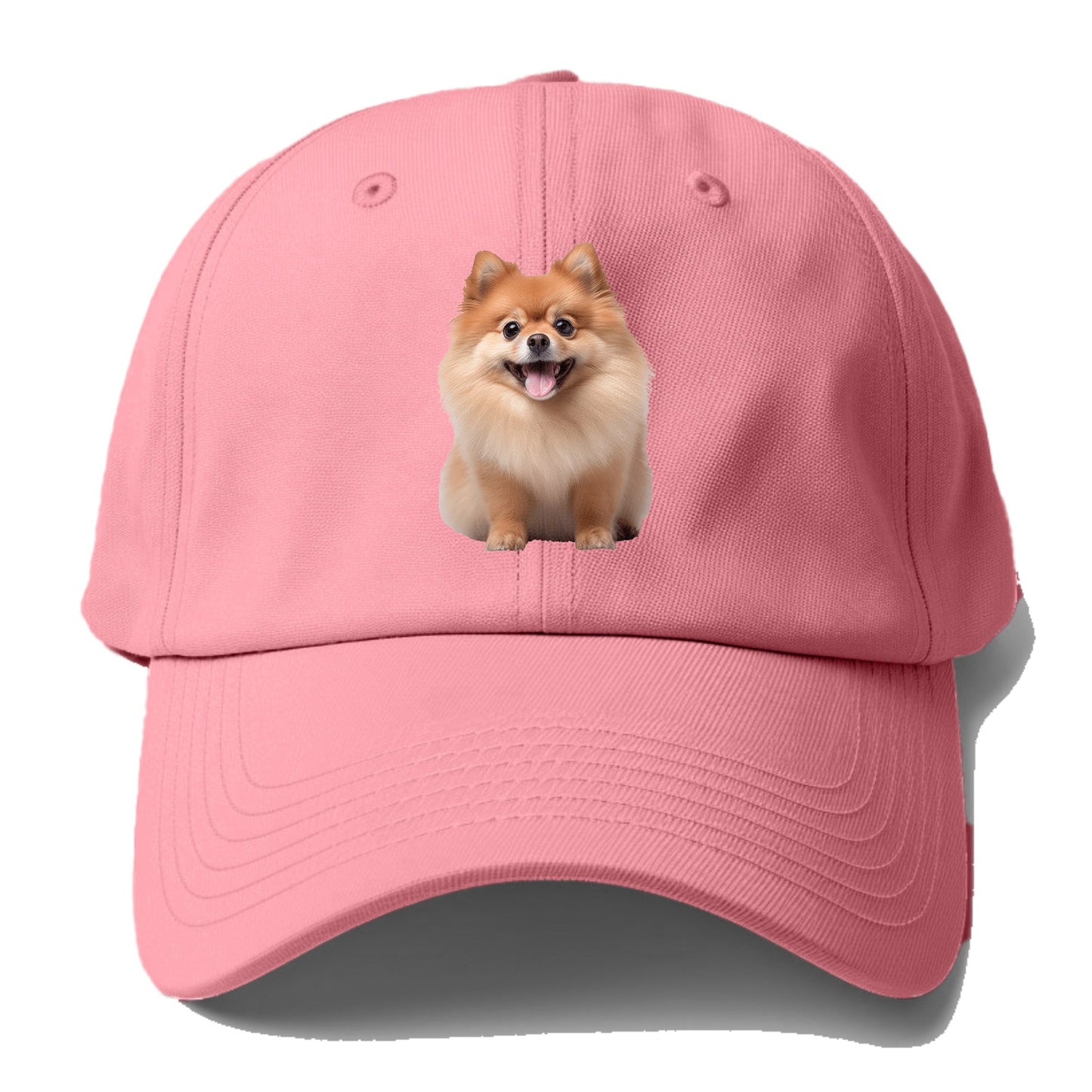 Delighted Pomeranian  Hat