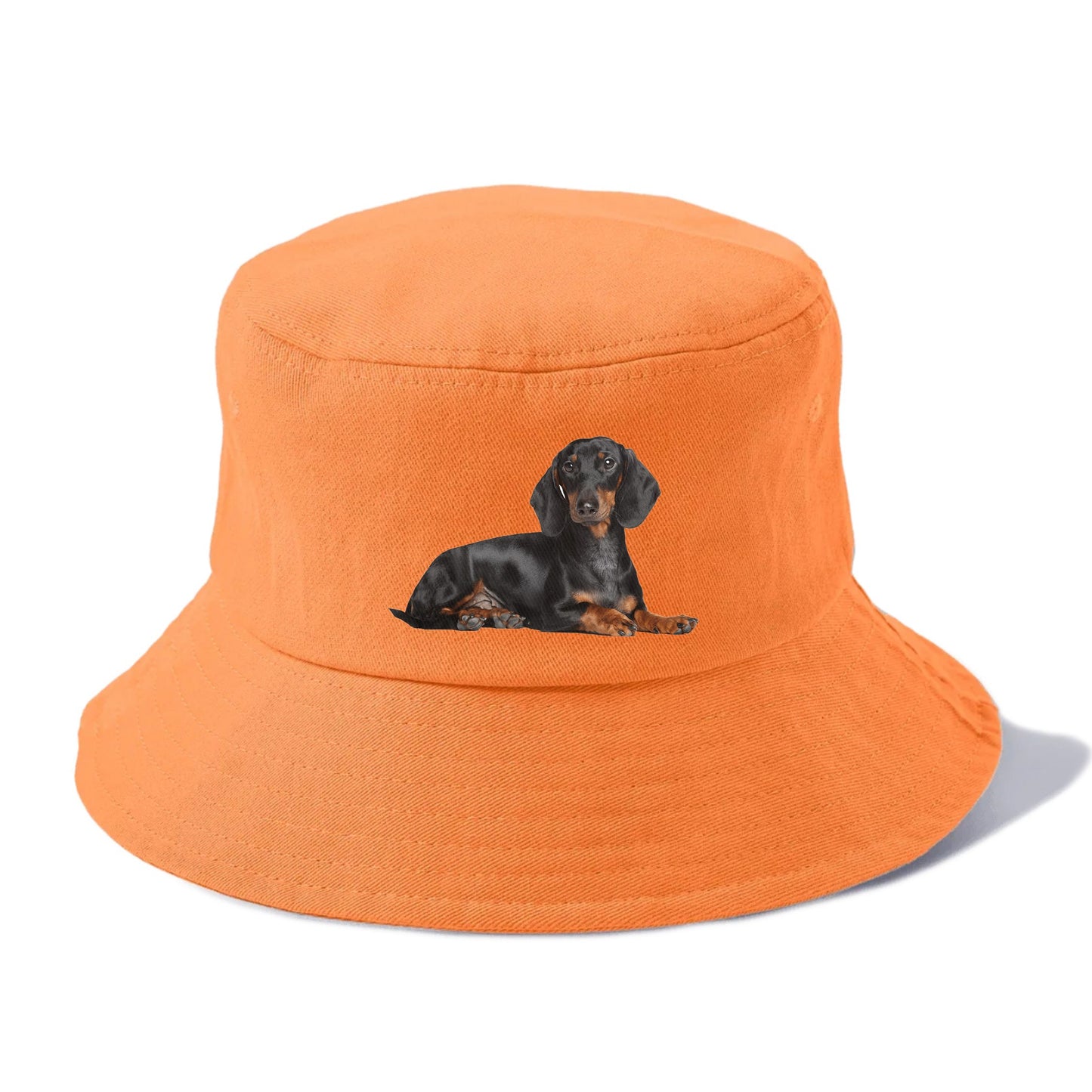 dachshund Hat