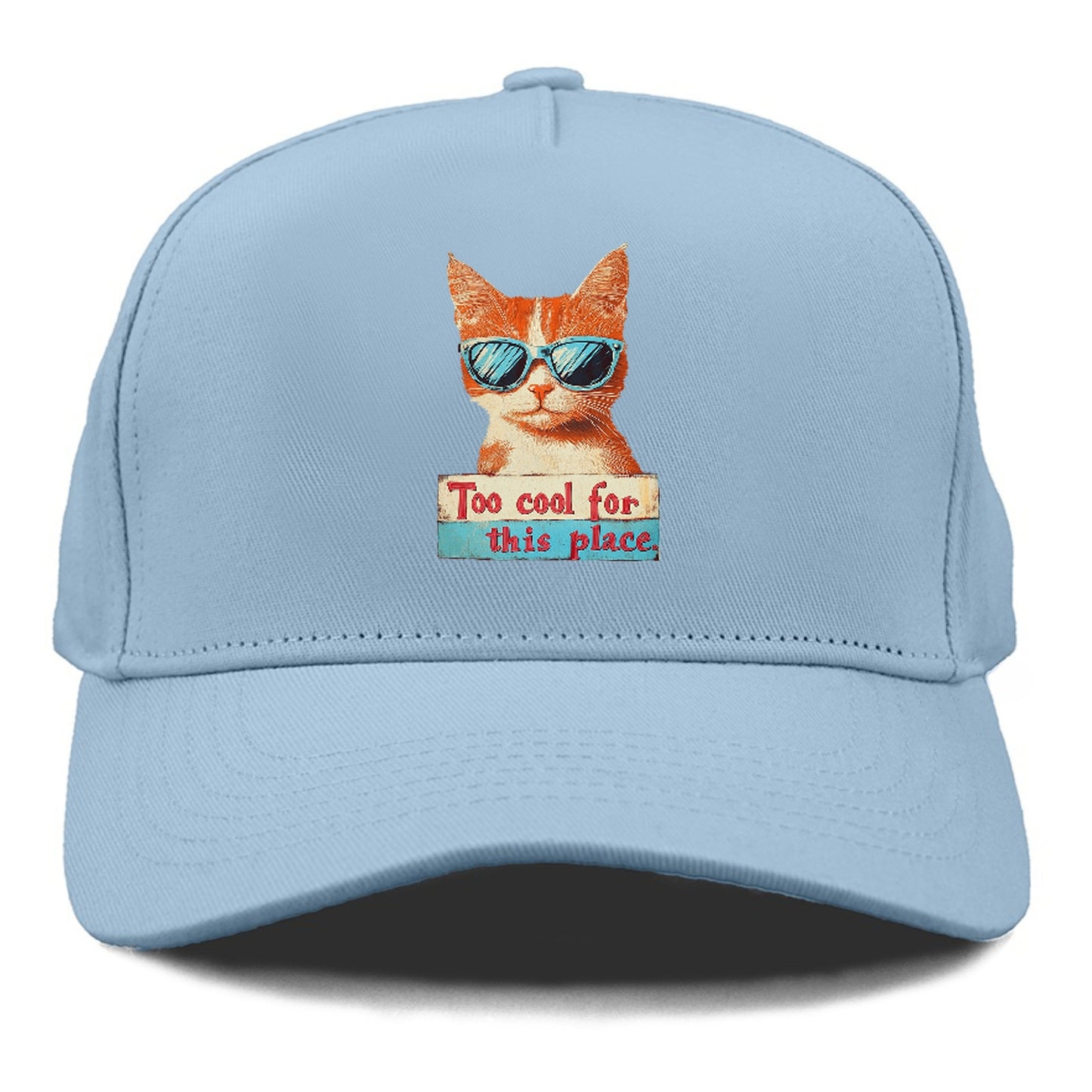 Cool Cat with Sunglasses Hat