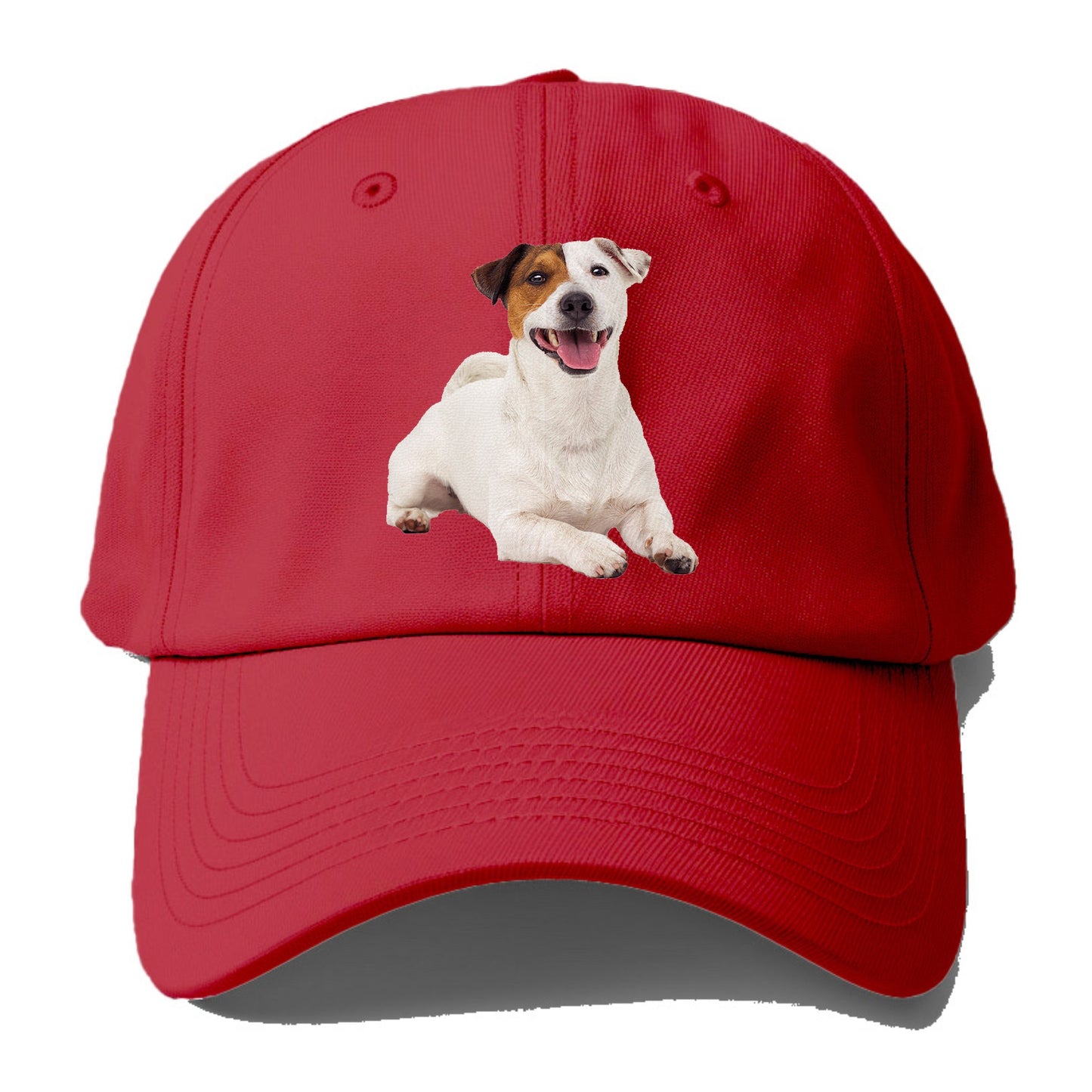 jack russell terrier dog Hat