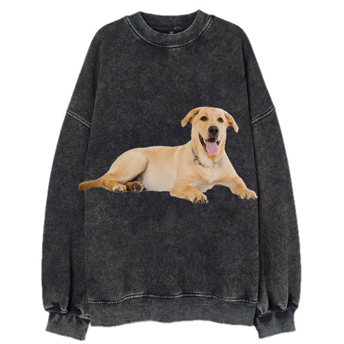 Labrador Laying Down Vintage Sweatshirt