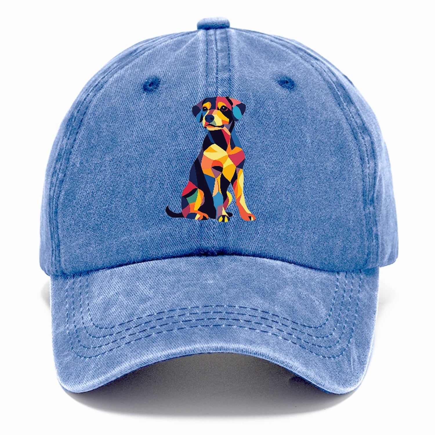 Abstract Elegance Colorful Dog Hat