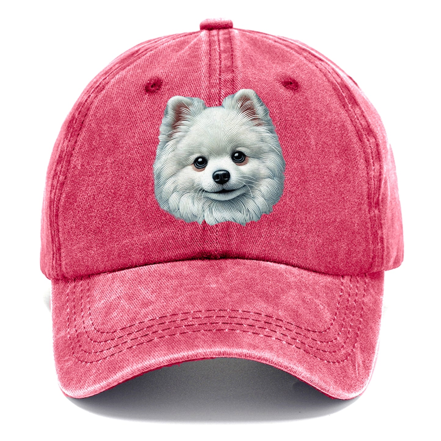 Pomeranian Hat