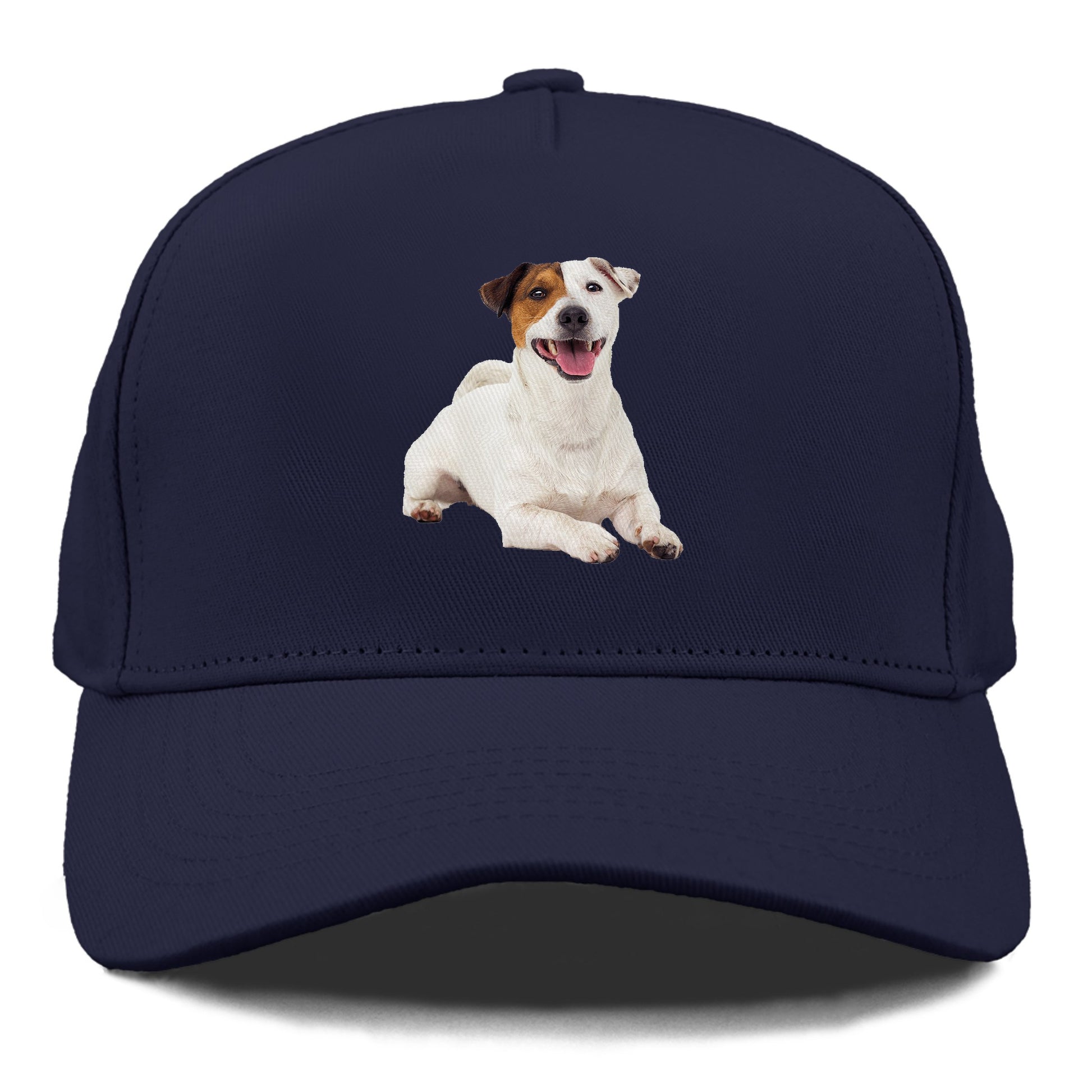 jack russell terrier dog Hat