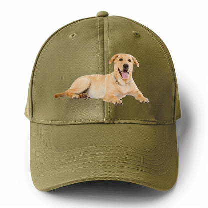 Labrador laying down Hat