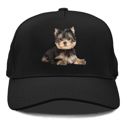 Yorkshire terrier Hat