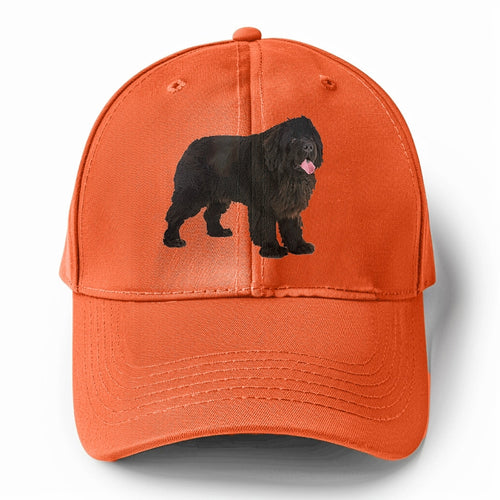 Newfoundland Solid Color Baseball Cap