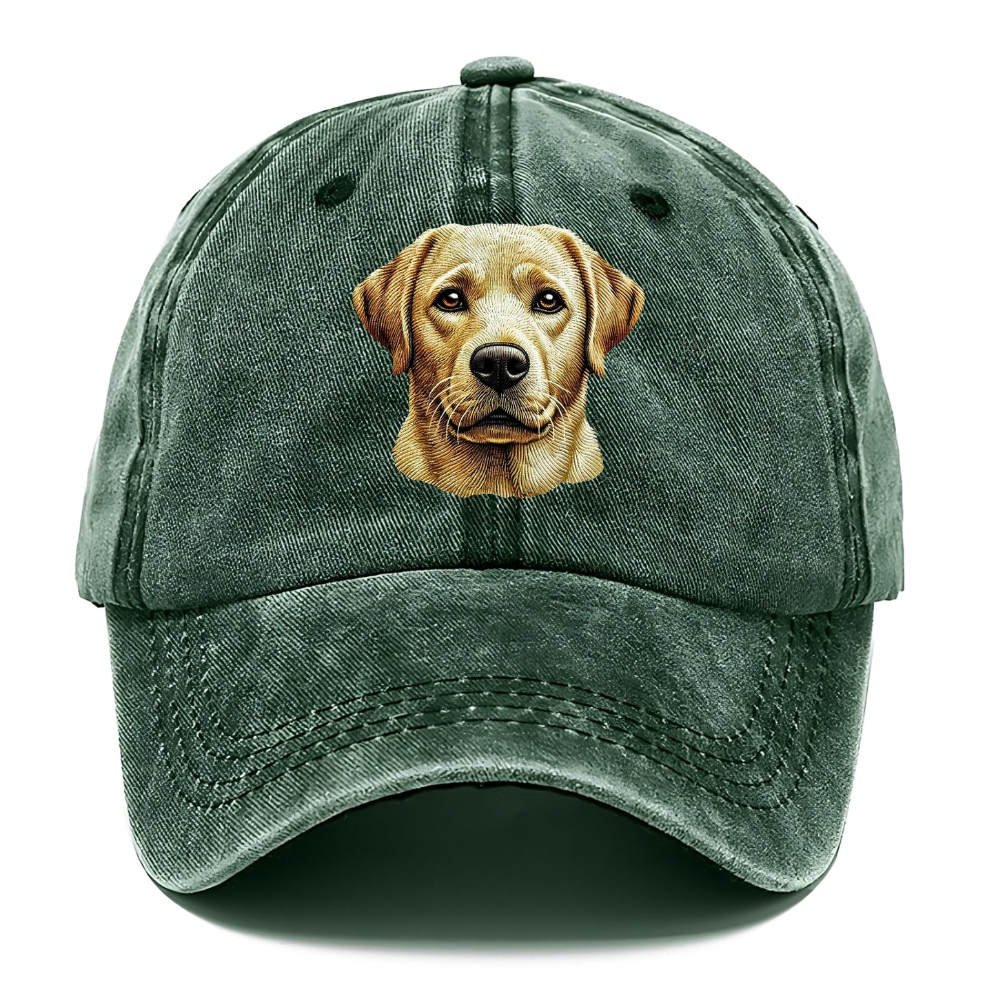 Labrador Retriever_ Hat