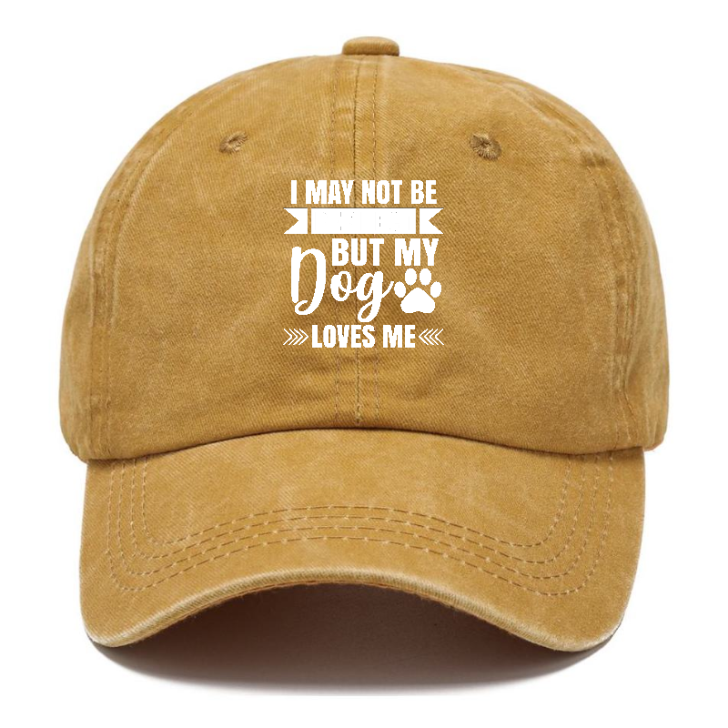 I may not be perfect but my dog loves me Hat