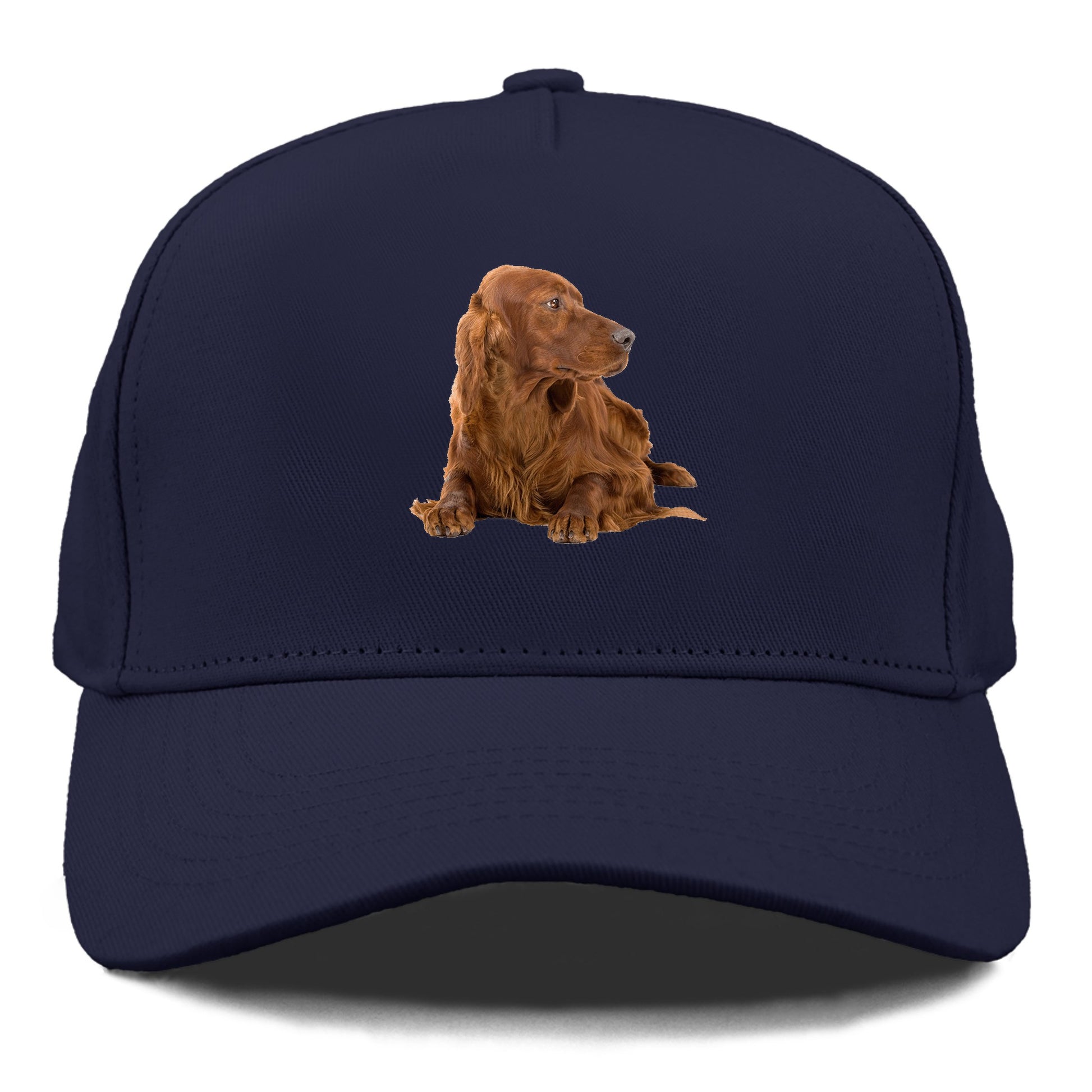 Irish Setter Hat