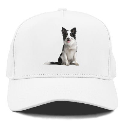 Border Collie Hat