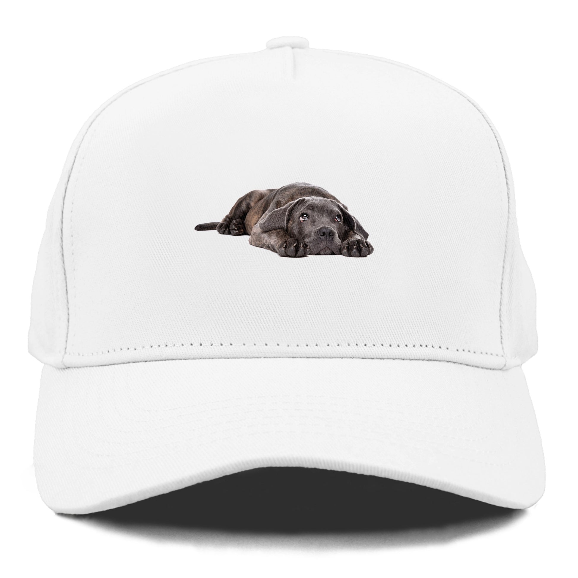 cane corso Hat