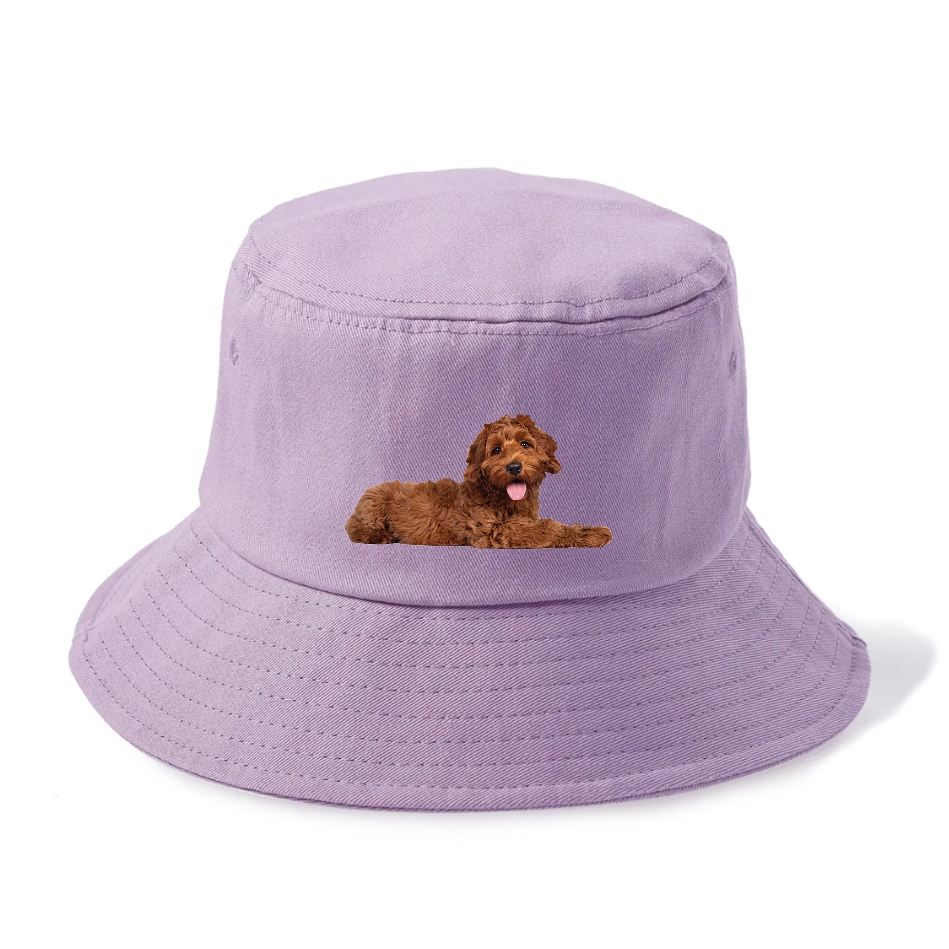 Labradoodle laying down Hat