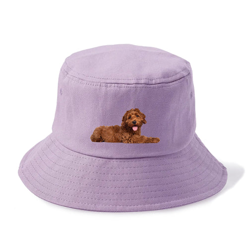 Labradoodle Laying Down Bucket Hat