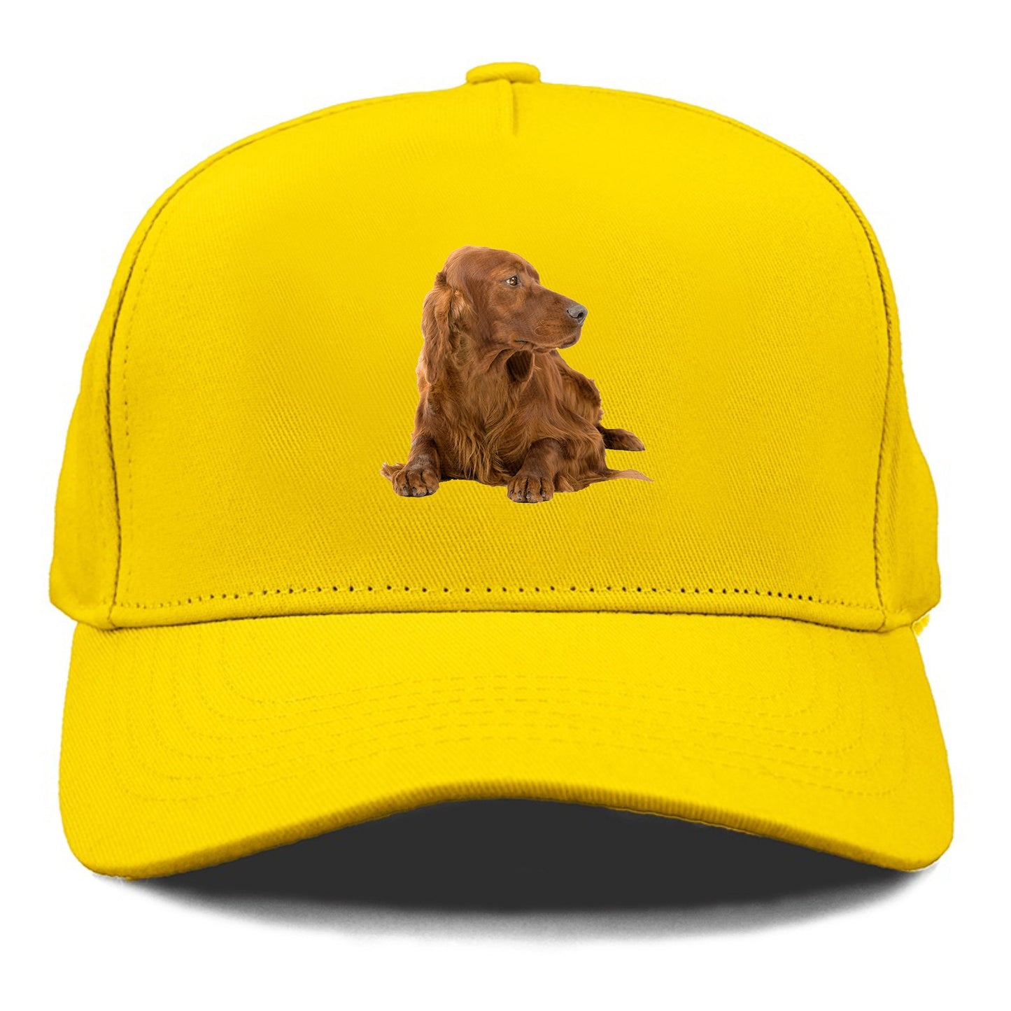 Irish Setter Hat