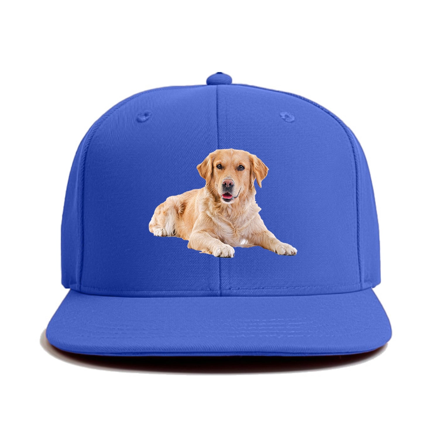 Golden Retriever laying down Hat