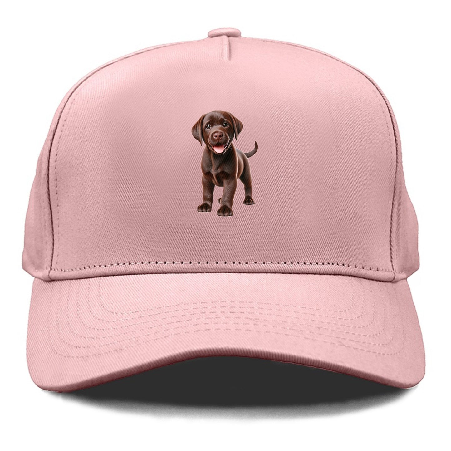 chocolate labrador Hat