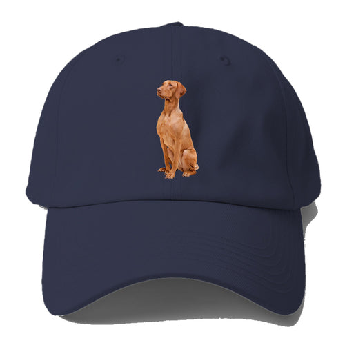 Vizsla Baseball Cap For Big Heads