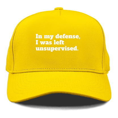 in my defense, i was left unsupervised Hat