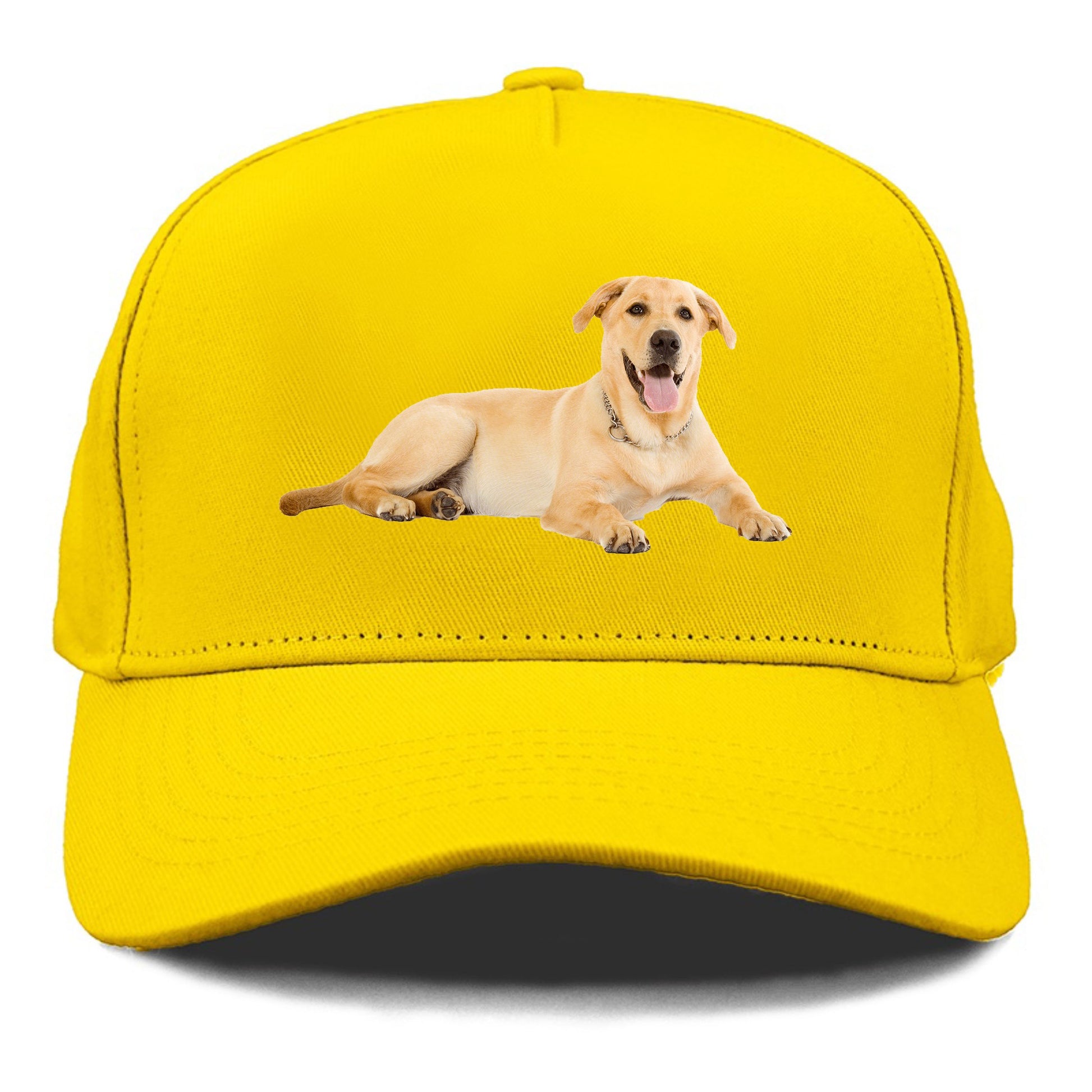 Labrador laying down Hat