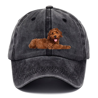 Labradoodle laying down Hat