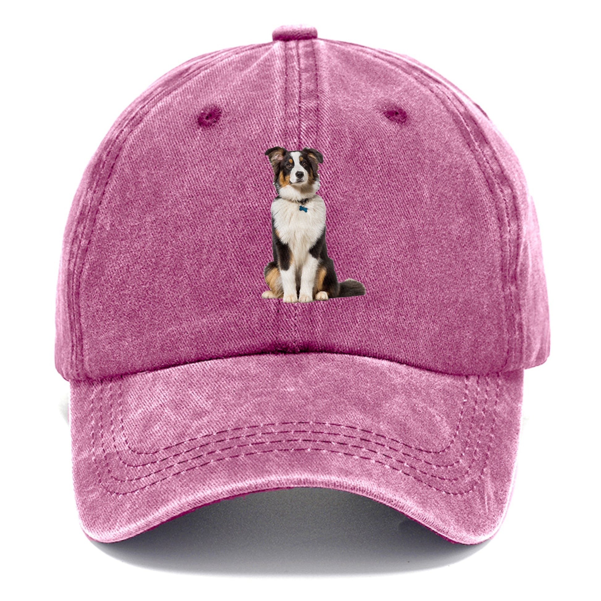 Attentive Australian Shepherd sitting upright Hat